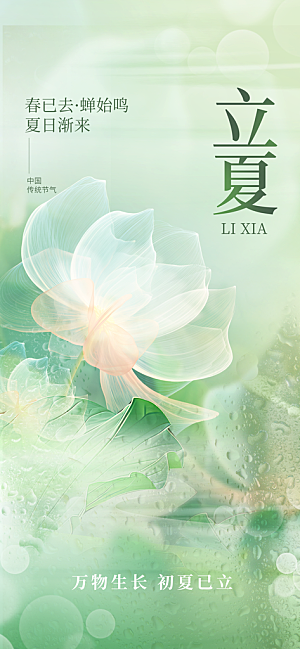 二十四节气立夏海报