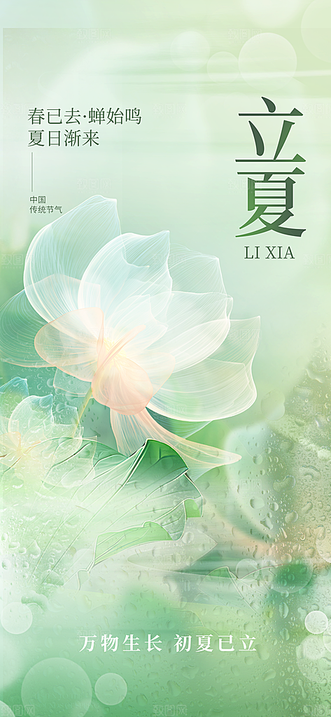 二十四节气立夏海报
