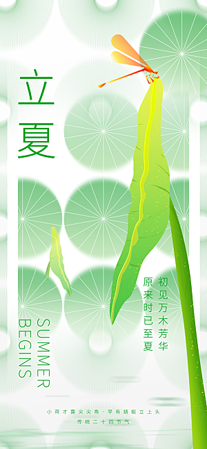 立夏二十四节气海报