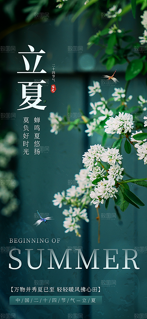 二十四节气立夏海报