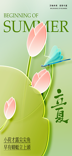 二十四节气立夏海报