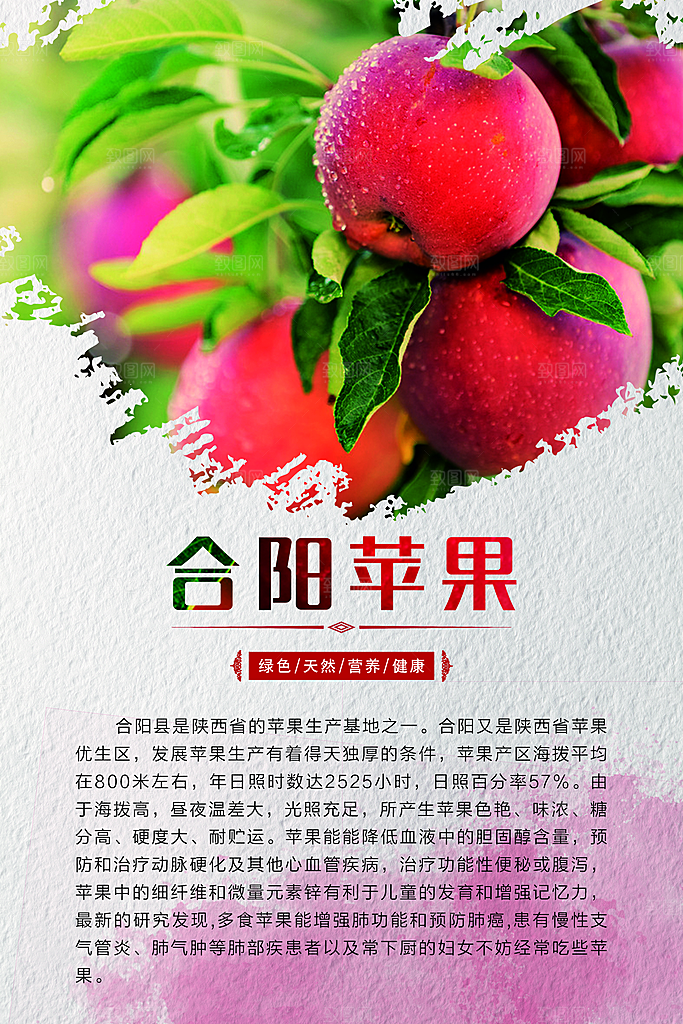 农产品海报设计苹果