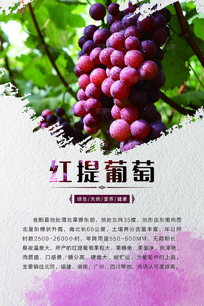 农产品海报设计红提葡萄