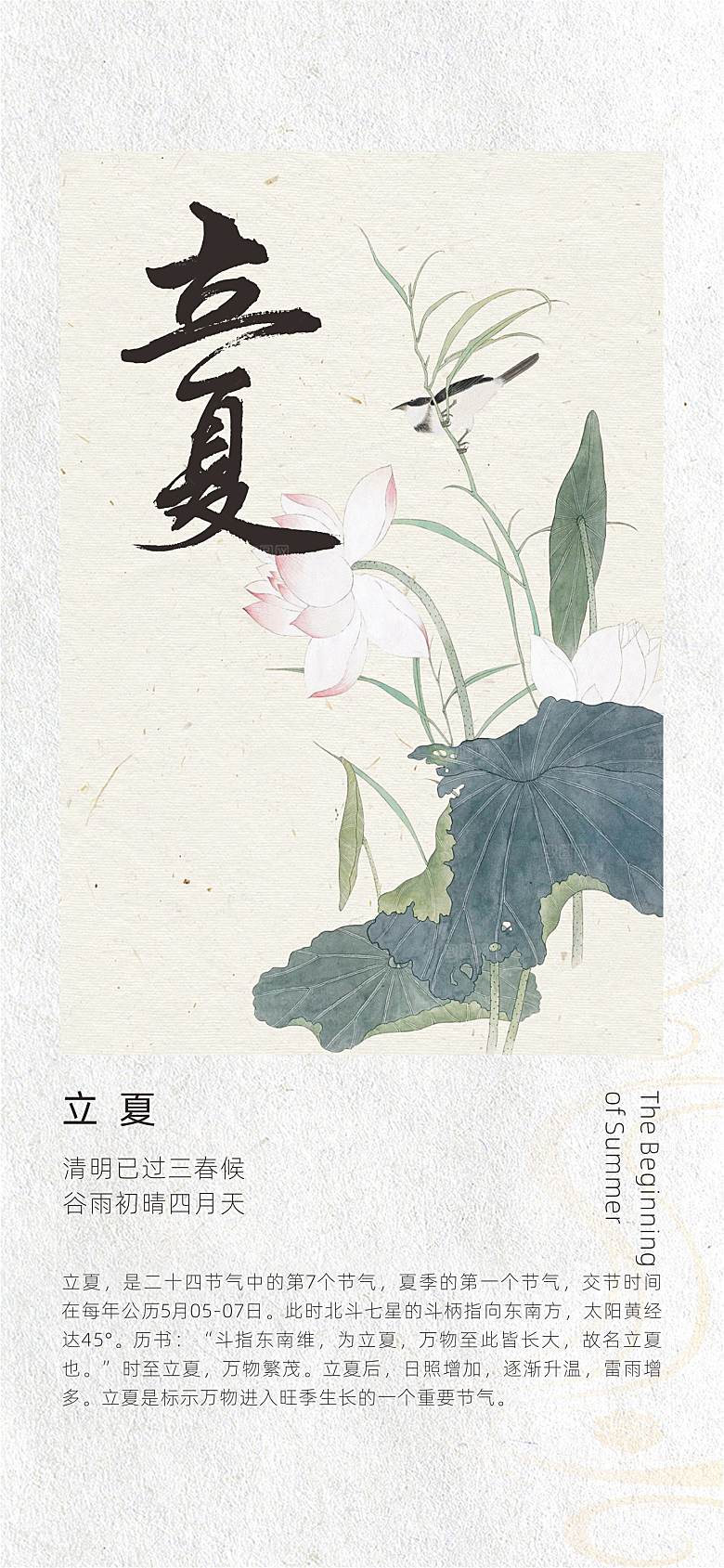 二十四节气古风中国风立夏