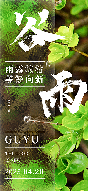 谷雨海报简洁中国传统节气