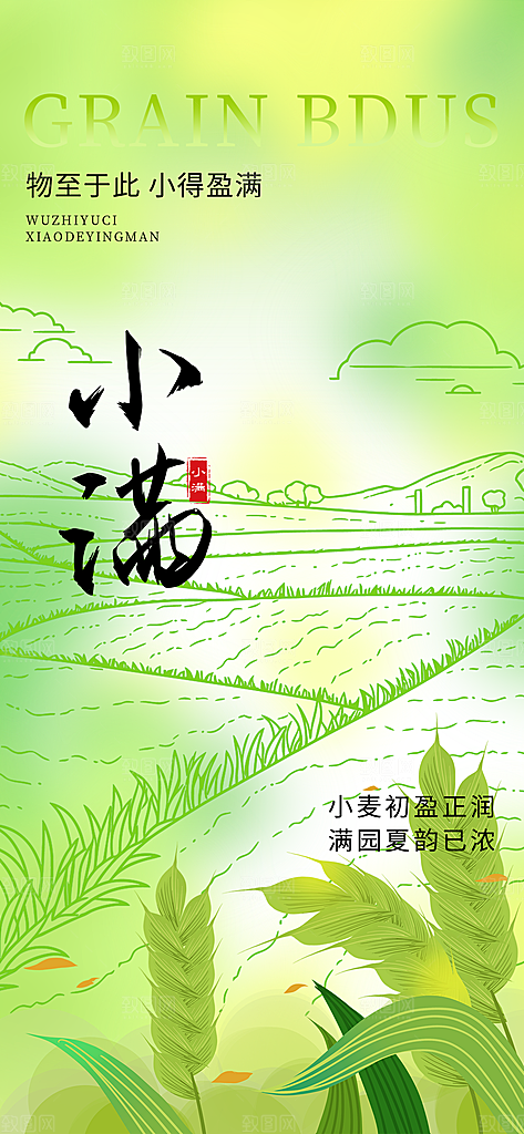 24节气小满时节五月夏日夏天宣传海报