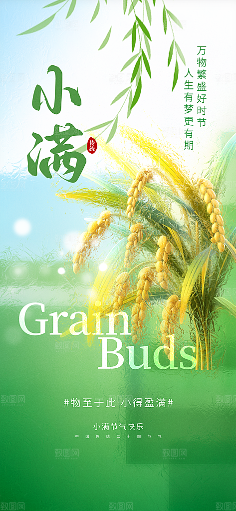 24节气小满时节五月夏日夏天宣传海报