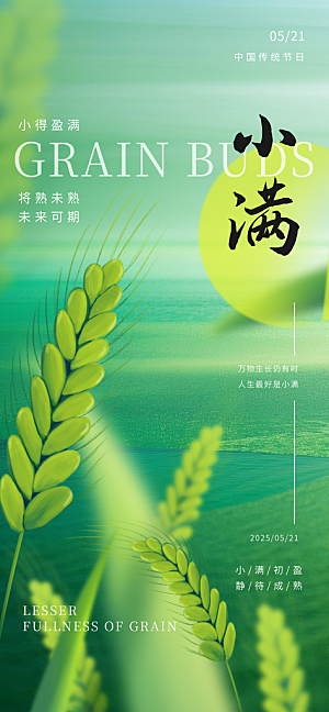 24节气小满时节五月夏日夏天宣传海报