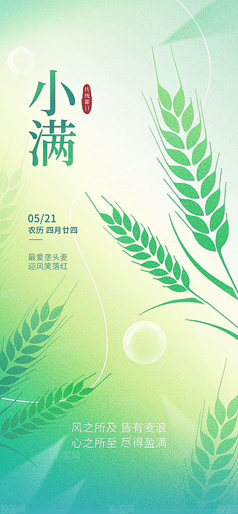 24节气小满时节五月夏日夏天宣传海报