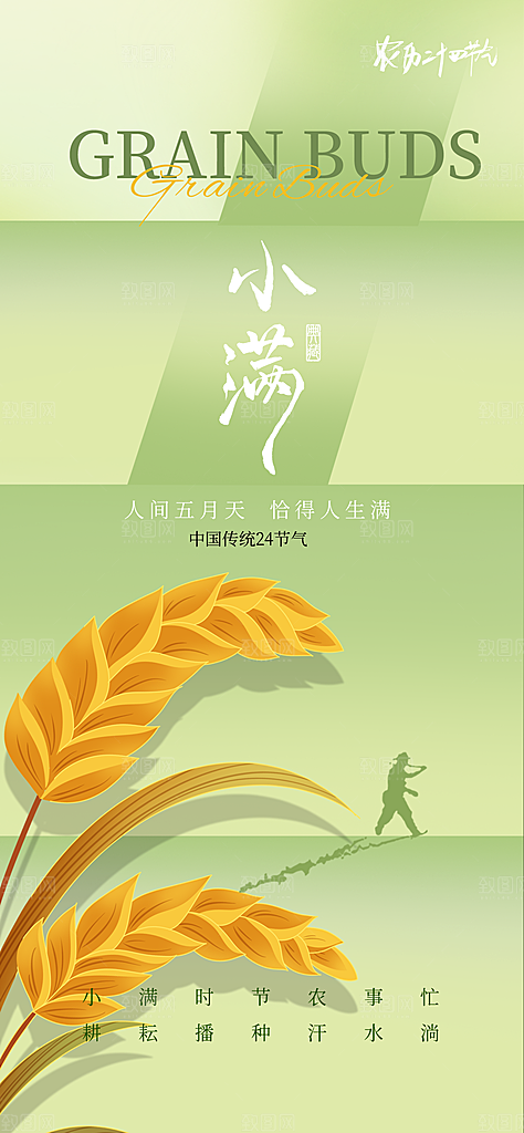 24节气小满时节五月夏日夏天宣传海报