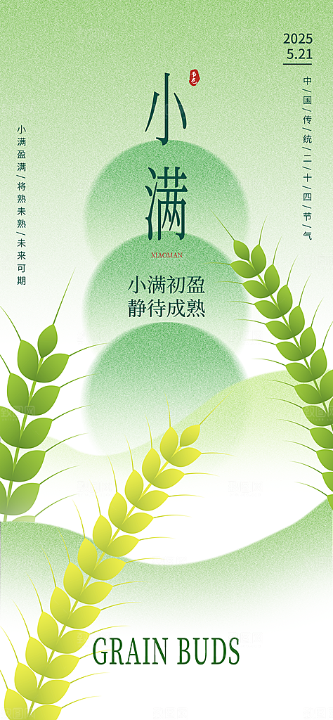 24节气小满时节五月夏日夏天宣传海报