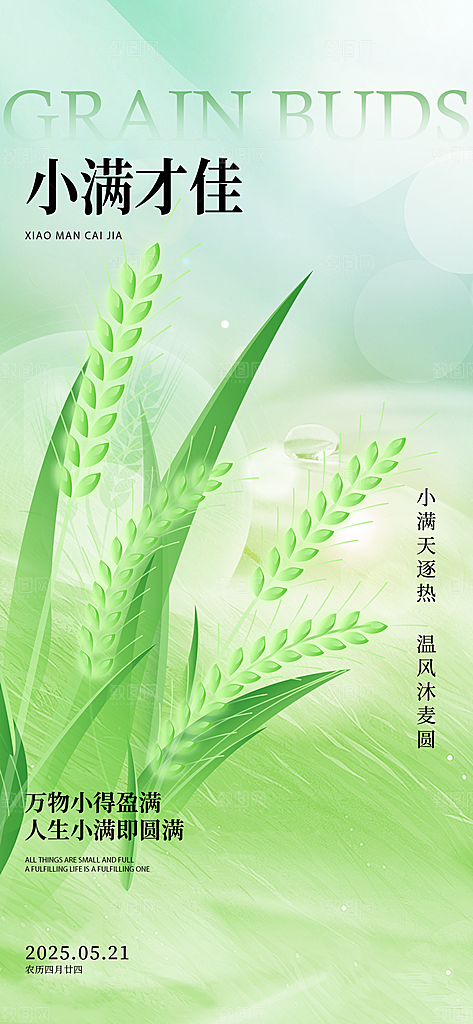 24节气小满时节五月夏日夏天宣传海报