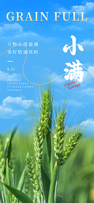 24节气小满时节五月夏日夏天宣传海报