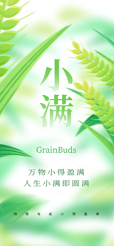 24节气小满时节五月夏日夏天宣传海报