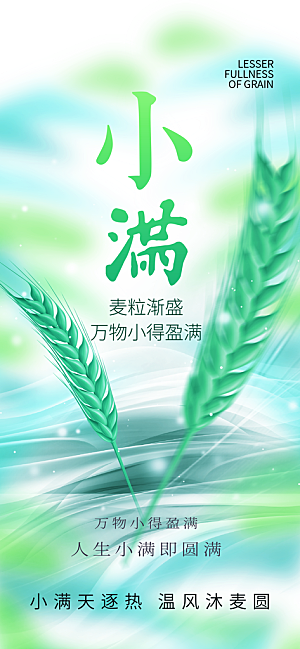 24节气小满时节五月夏日夏天宣传海报