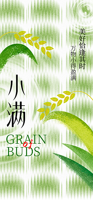 24节气小满时节五月夏日夏天宣传海报