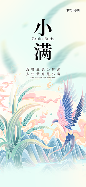 24节气小满时节五月夏日夏天宣传海报