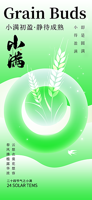 24节气小满时节五月夏日夏天宣传海报