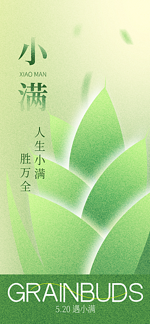 24节气小满时节五月夏日夏天宣传海报