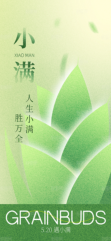 24节气小满时节五月夏日夏天宣传海报