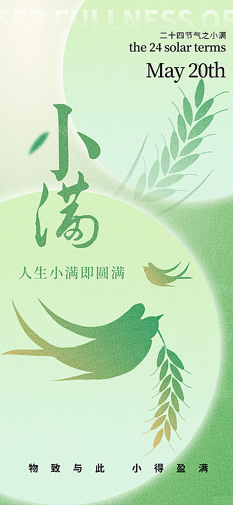 24节气小满时节五月夏日夏天宣传海报