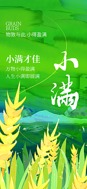 24节气小满时节五月夏日夏天宣传海报