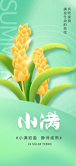 24节气小满时节五月夏日夏天宣传海报