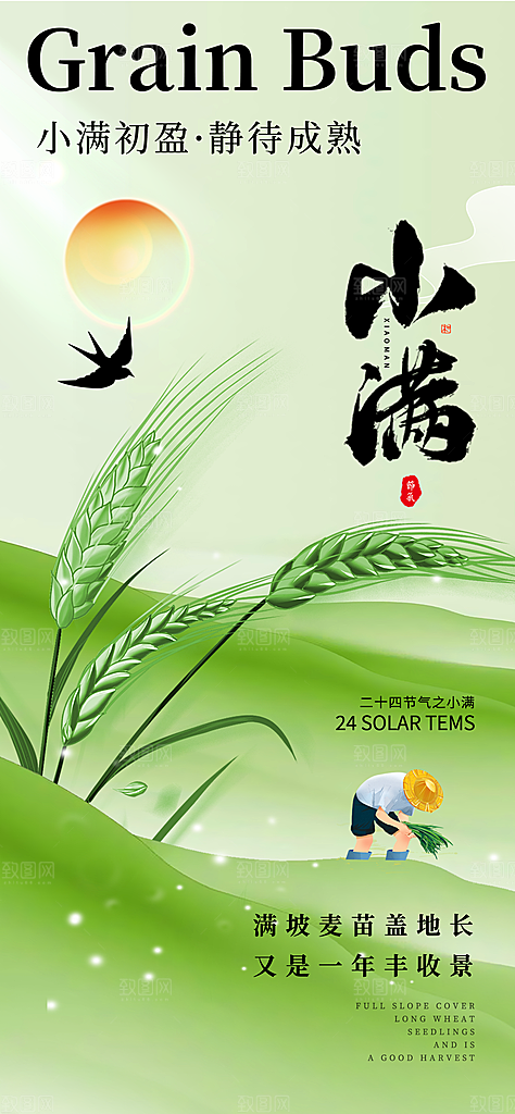 24节气小满时节五月夏日夏天宣传海报
