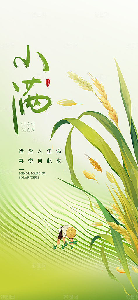 24节气小满时节五月夏日夏天宣传海报