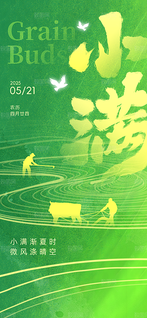 24节气小满时节五月夏日夏天宣传海报