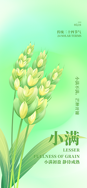 24节气小满时节五月夏日夏天宣传海报