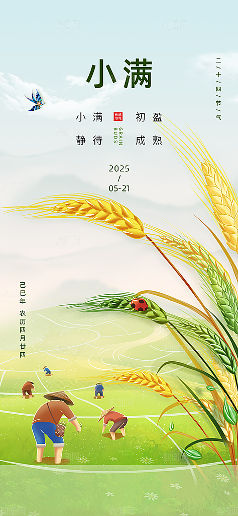24节气小满时节五月夏日夏天宣传海报