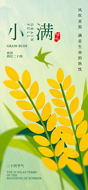 24节气小满时节五月夏日夏天宣传海报