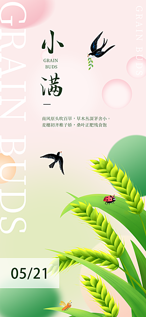 24节气小满时节五月夏日夏天宣传海报