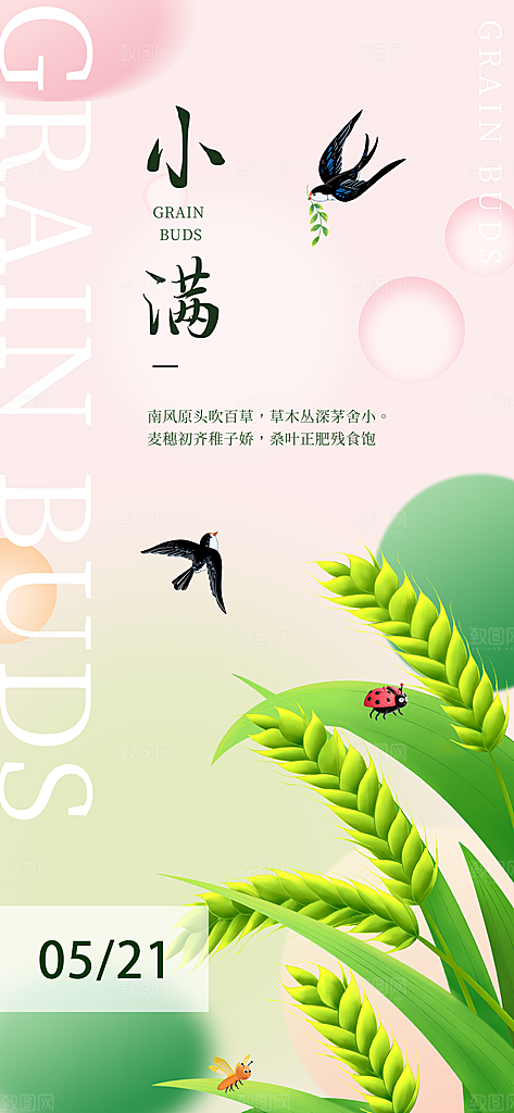24节气小满时节五月夏日夏天宣传海报