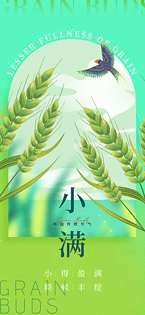 24节气小满时节五月夏日夏天宣传海报