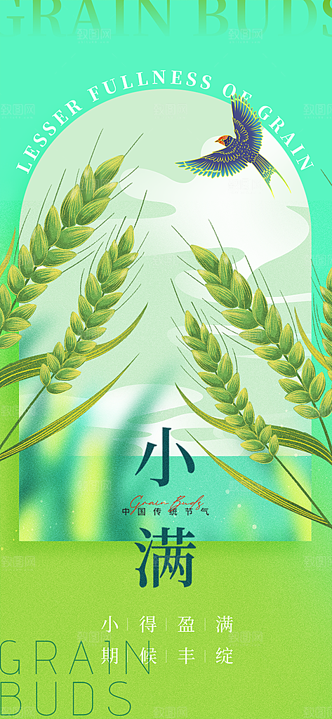 24节气小满时节五月夏日夏天宣传海报
