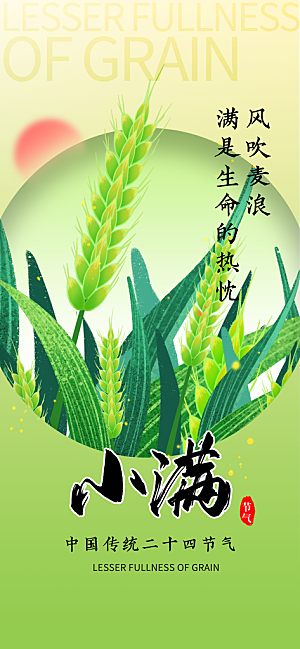 24节气小满时节五月夏日夏天宣传海报
