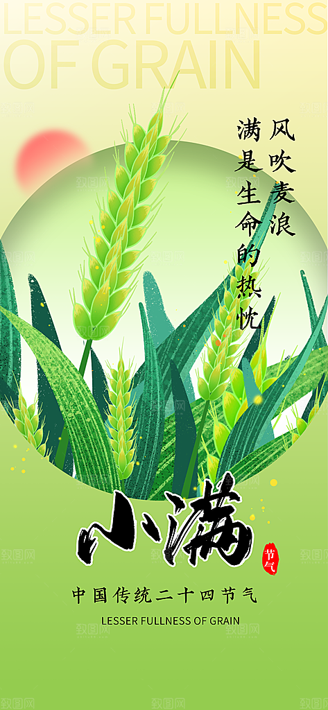24节气小满时节五月夏日夏天宣传海报