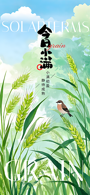 24节气小满时节五月夏日夏天宣传海报