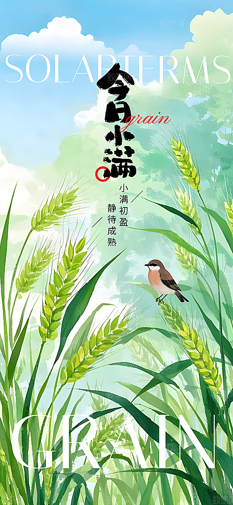 24节气小满时节五月夏日夏天宣传海报