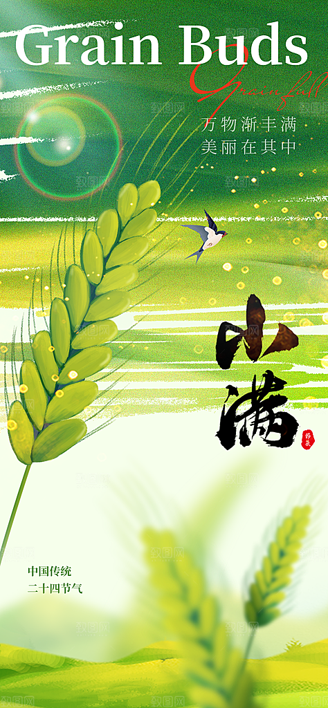 24节气小满时节五月夏日夏天宣传海报