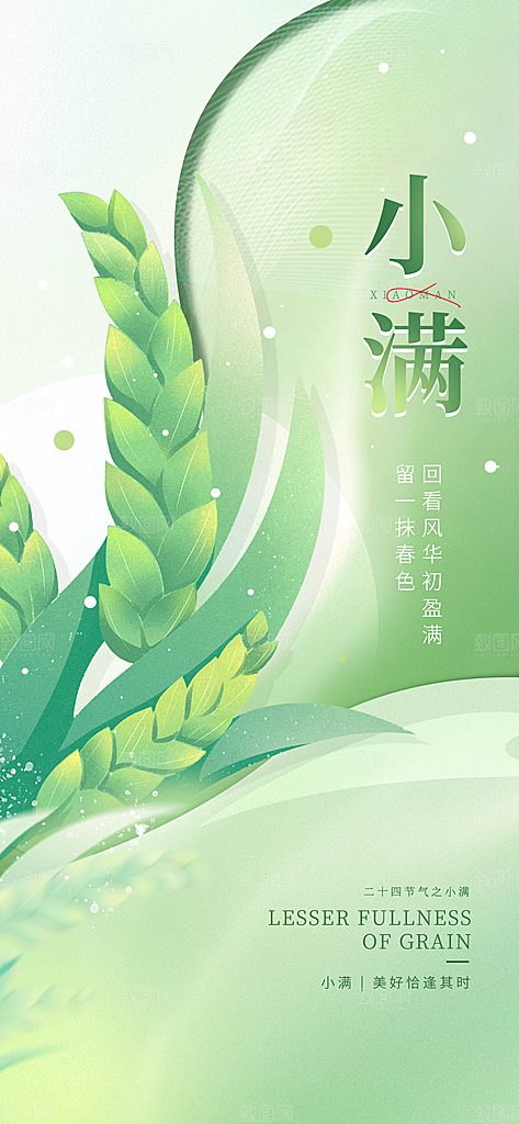 24节气小满时节五月夏日夏天宣传海报