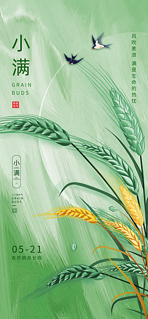 24节气小满时节五月夏日夏天宣传海报