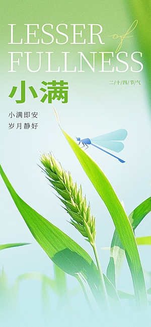 24节气小满时节五月夏日夏天宣传海报