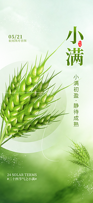 小满二十四节气海报