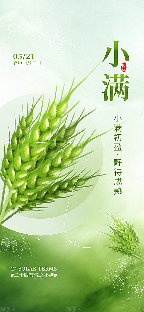 小满二十四节气海报
