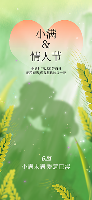 小满二十四节气海报