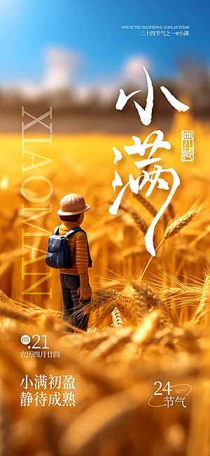 小满二十四节气海报