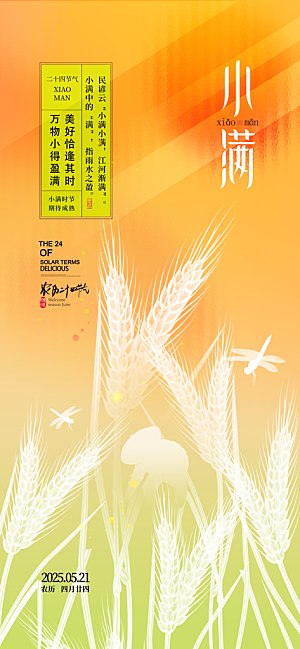 小满二十四节气海报